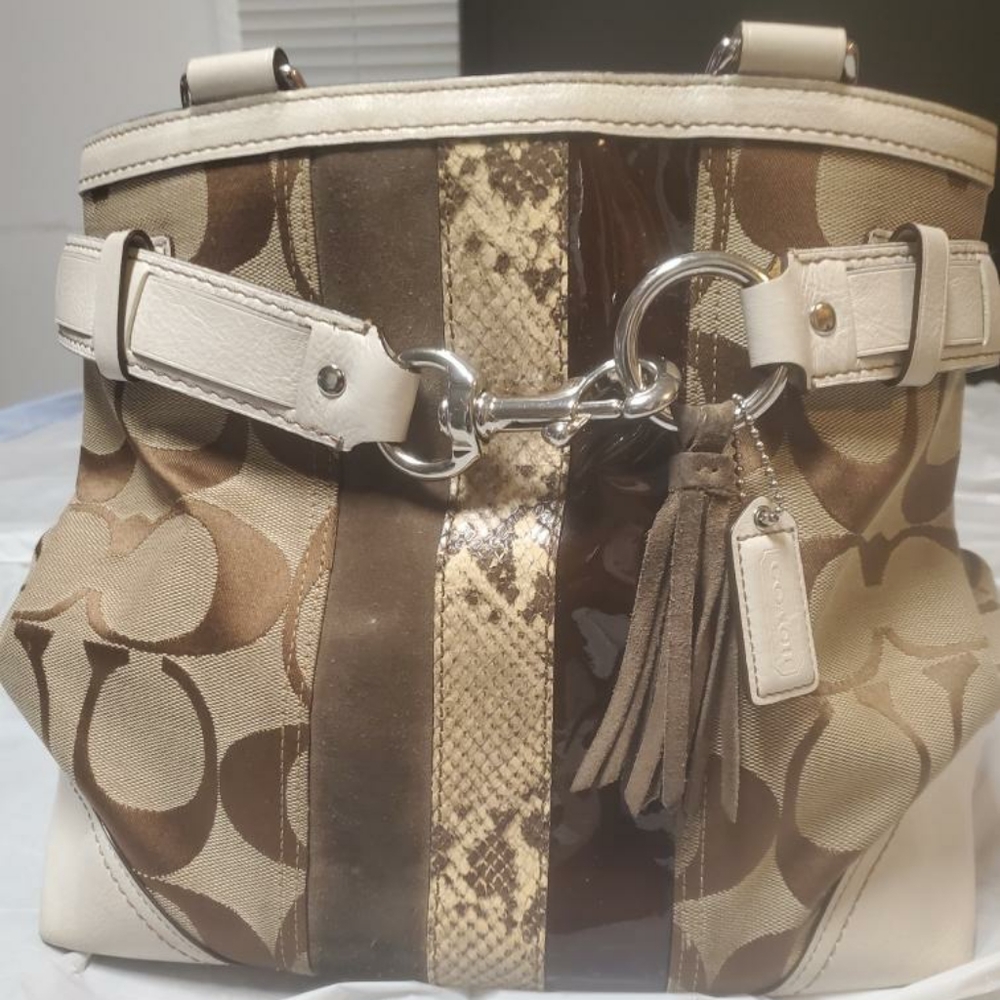 Coach Hampton Python Purse